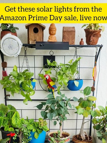 Sushma Reddy - Gardening Product Sourcing & Reviews Essential Tools & Garden Decor photo 17