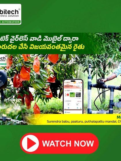 A 9-acre mango farm in Chittoor district growing multiple varieties, now effortlessly irrigated using our solar-powered, wireless valve control system.