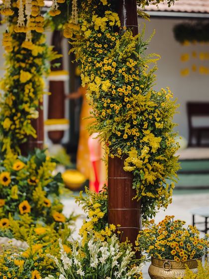 The Tales of Tradition - Wedding Planning & Design Sun-Kissed Haldi Ceremonies photo 19