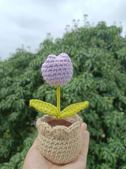 Cheerful Potted Plants photo 75