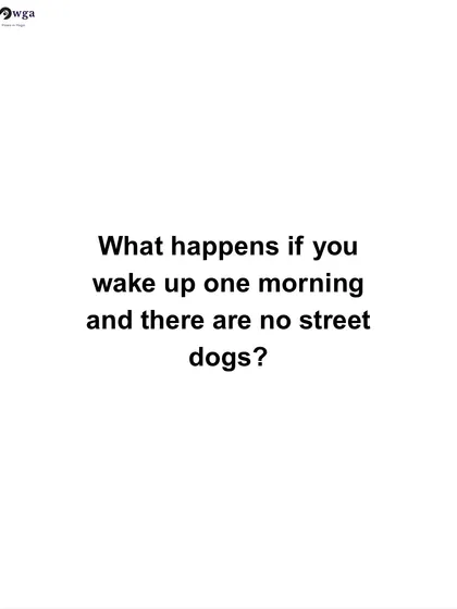 What would our world look like without street dogs? This series of posts imagines a quieter, but lonelier and colder, city, highlighting the warmth and life that street dogs bring to our communities.