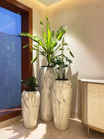 Indoor Plant Styling for Homes photo 3