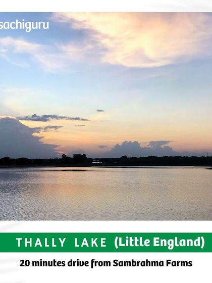 Thally Lake, also known as "Little England," is a short 20-minute journey from Sambrahma Farms. It's a great spot for a picnic or simply to enjoy the natural beauty.