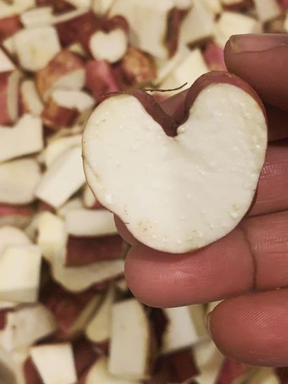 DoggyBox - Personalized Dog Meal Delivery What's In The Bowl: Real Food, Real Ingredients photo 4