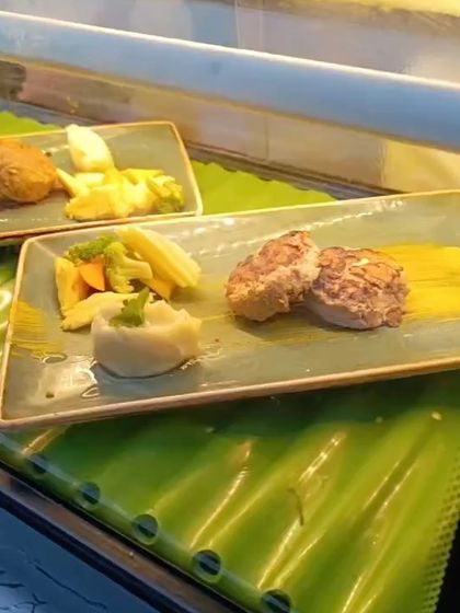 A look at our gourmet pet food buffet line. We believe in offering a variety of delicious and healthy options for our furry guests.