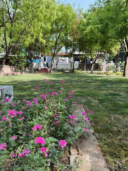 Delhi Gardner - Full-Service Landscaping Large-Scale Landscaping: Commercial & Residential Projects photo 59