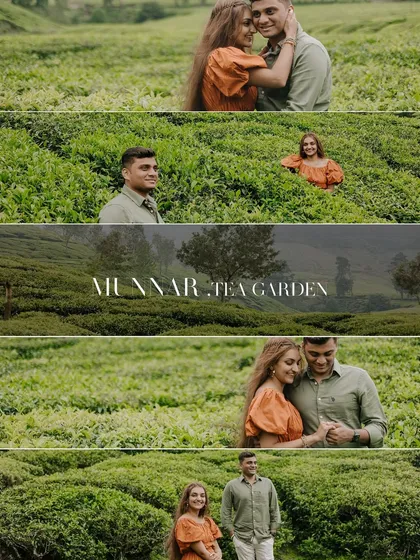 A cinematic collage from the Munnar tea gardens. This collection blends wide shots, mid-shots, and close-ups to create a visual narrative of the couple's romantic day exploring the plantations.