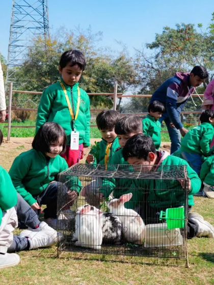 Farmus - Private Parties & Events Our Furry & Feathered Friends photo 23