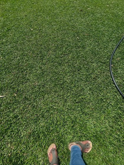 Rakshith Landscaping - Landscape Design & Installation Lush Lawns: Natural & Artificial photo 9