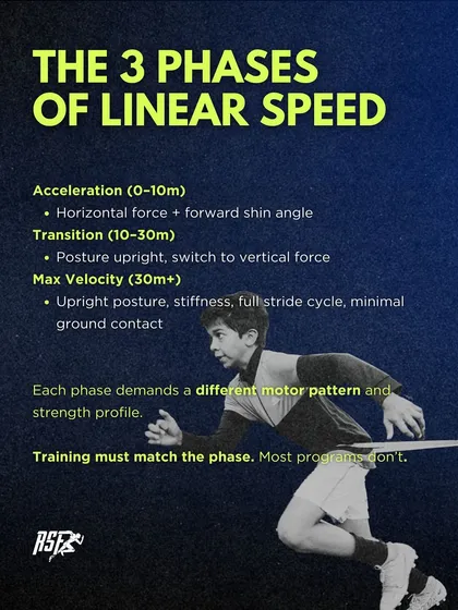 Linear speed has three phases: acceleration, transition, and max velocity. Each phase demands a different motor pattern and strength profile, and training must match the phase.