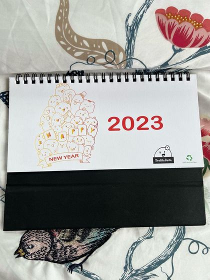 Shraddhadoodles - Custom Art & Merchandise A Look Back: Past Calendars photo 3