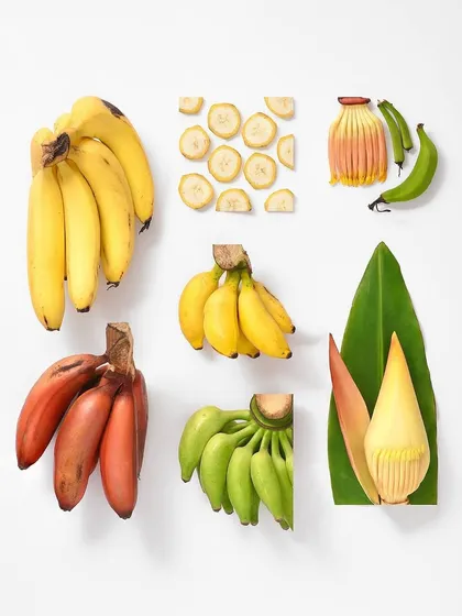This image from my 'Food Family Portrait' series highlights the variety in the banana family. The clean, organized layout makes it easy to appreciate the different colors and shapes.