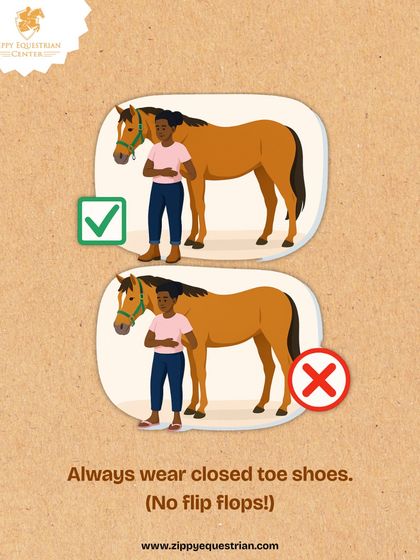 Safety for handlers is just as important as safety for the horse. We enforce a strict rule of wearing closed-toe shoes in the stables at all times, especially when handling horses during vet visits or grooming.