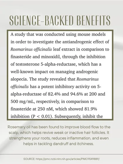 The science behind rosemary is promising. This graphic details a study showing that rosemary extract has a potent effect on inhibiting the enzyme linked to androgenic alopecia, similar to finasteride.