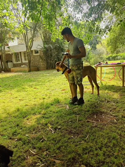 A candid moment with a furry friend during a break at a flow fest. There's always time for dogs and snacks.