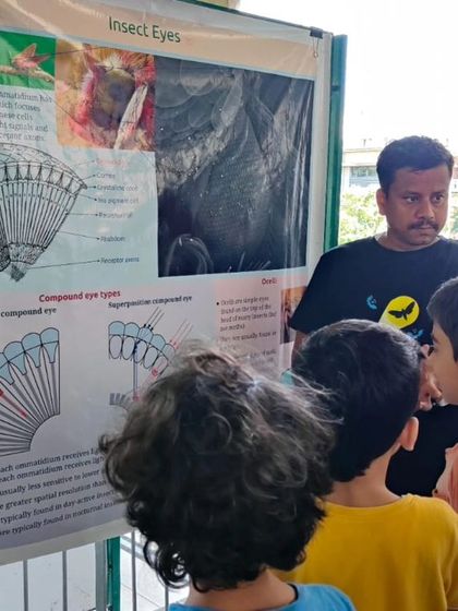 The Earth School - Montessori Primary & Elementary Program The World is Our Classroom photo 17