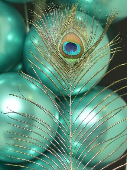 Satweek - Themed Birthday Party Decoration Unique & Creative Themes photo 7