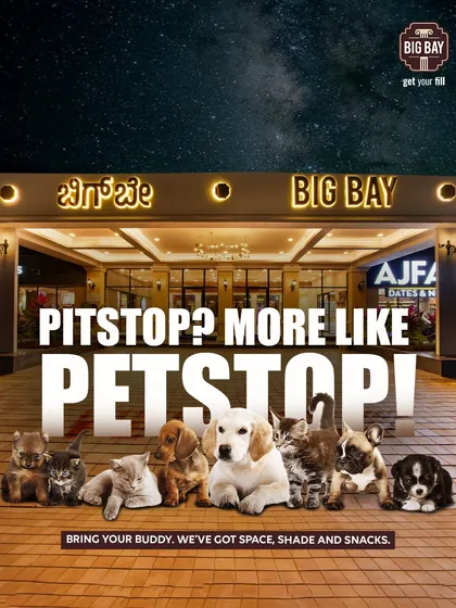 We love seeing your furry co-pilots. Our entire facility is pet-friendly, with plenty of space, shade, and snacks to make sure your four-legged family members enjoy the break as much as you do.