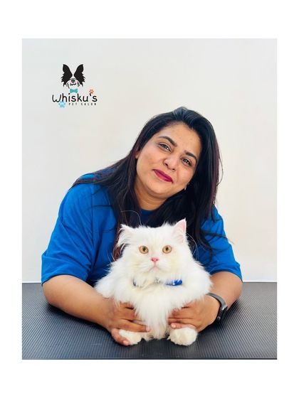 Furrybells Pet Grooming - Pet Grooming (Dogs & Cats) Cat Grooming: A Gentle Touch photo 28