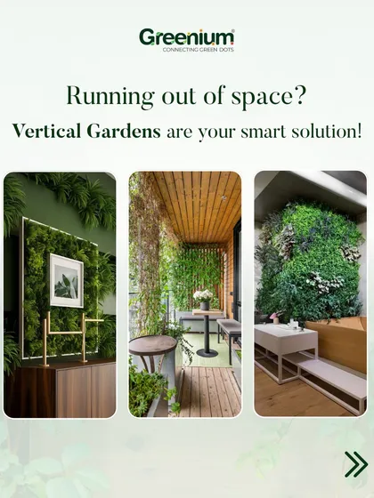 This image collage demonstrates how vertical gardens can be used in various settings, from an entryway to a balcony, proving they are a versatile solution for adding greenery anywhere.