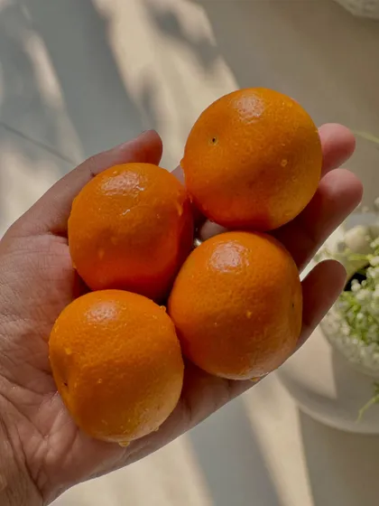 I believe in using the freshest ingredients. Here are some beautiful, juicy oranges, ready to be turned into a delicious, seasonal cake flavor.