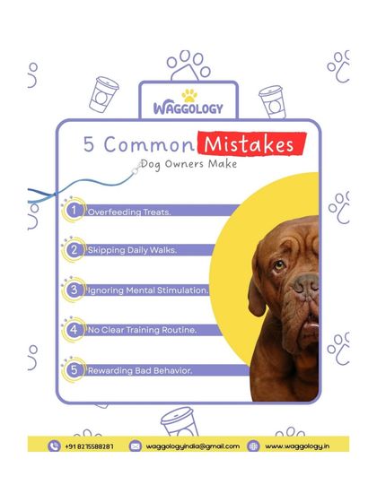This infographic lists 5 common mistakes dog owners make, such as overfeeding treats or ignoring mental stimulation. Part of my job is to help you avoid these pitfalls and build a healthier relationship with your dog.