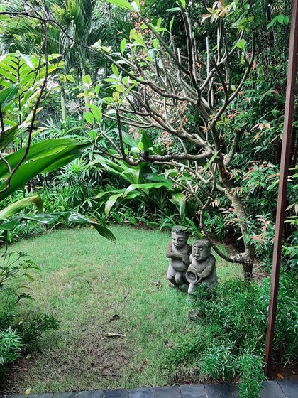 Art Yard - Garden Maintenance Villa & Estate Landscapes photo 4