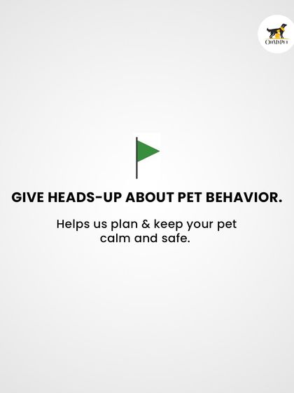 Oh My Pet - At-home Pet Grooming A Pet Parent's Guide photo 3