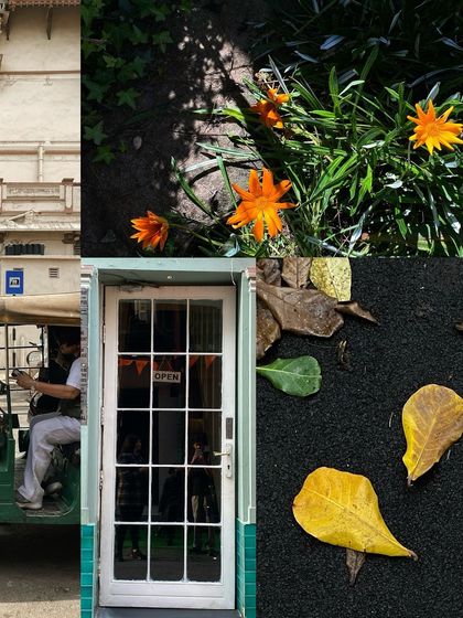 A collage mixing natural elements like flowers and leaves with urban scenes like an e-rickshaw and a white door.