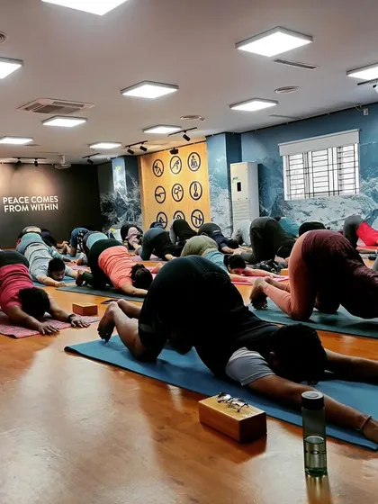 The entire class moving into Anahatasana, or Melting Heart Pose. This is a beautiful shoulder and upper back opener that encourages surrender and release.