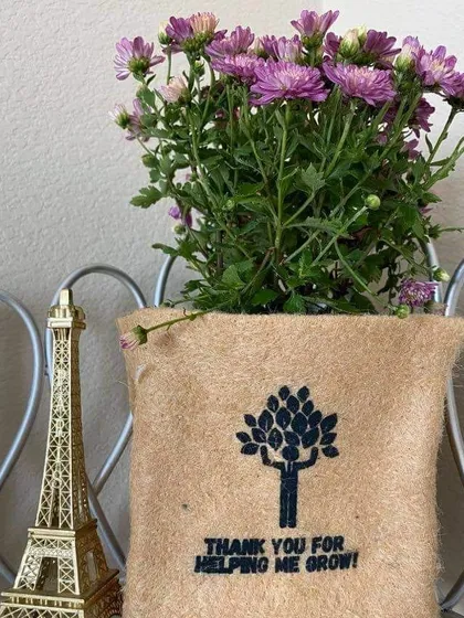 Another one of my favorite designs for thank you gifts. This purple Chrysanthemum is potted in a biodegradable jute bag printed with a tree and the words 'THANK YOU FOR HELPING ME GROW', making it a meaningful present for a mentor or teacher.