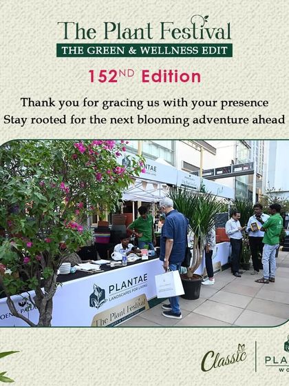 The Festival Vibe: A Celebration of Nature photo 12