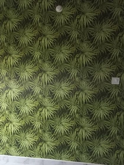 Wallplays - Wallpaper Design & Installation Nature-Inspired & Floral Prints photo 74