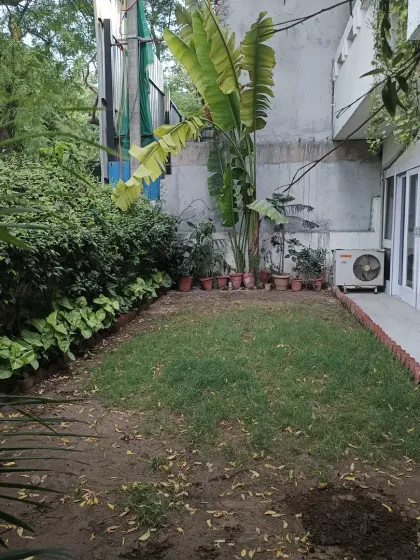A before shot of a residential garden, overgrown and in need of a refresh. This is the kind of space I love to transform.