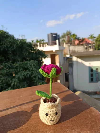 A single potted tulip with a smiley face on the pot, a small detail that brings joy.