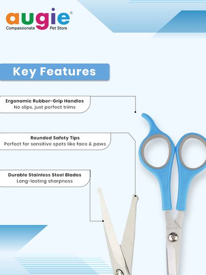 Augie Pets - Pet Supplies Spa Day at Home: Gentle Grooming Essentials photo 38