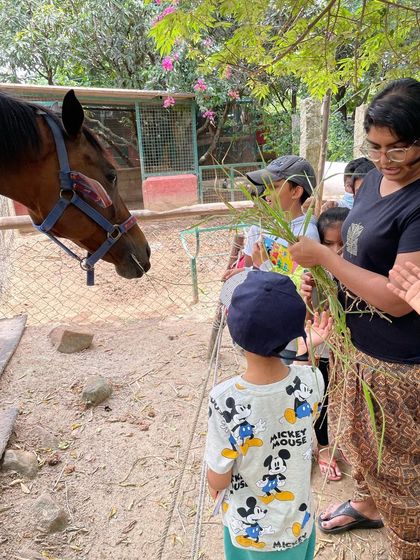 Siksha Montessori - Montessori Elementary School Program (Ages 6+) Exploring Our World: Science & Nature photo 12