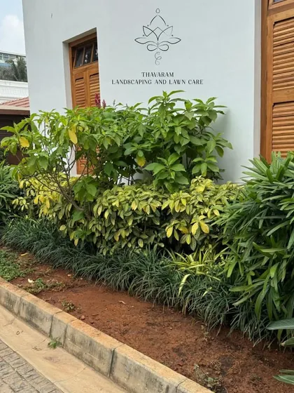 A mix of green and variegated shrubs planted along a curb, with our company logo tastefully placed on the wall behind.