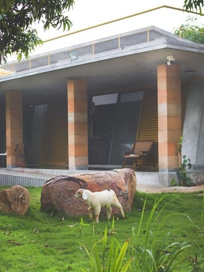 Even the local wildlife feels at home at Aamra. The landscape is designed to be a welcoming habitat, using native grasses and preserving natural rock formations to support the local ecosystem.