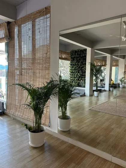 In this yoga studio, we placed Areca Palms to enhance the sense of calm and connection to nature. The reflection in the mirror doubles the greenery, making the space feel like a lush, peaceful sanctuary for practice.