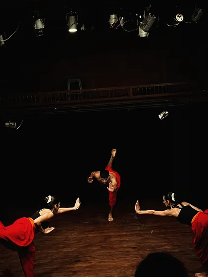 The beautiful lines and extensions of Kalaripayattu on display. This art form is as much about grace as it is about power.