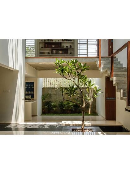 The central courtyard in the Cube Square house, with its tree and water feature, acts as the home's green lung, bringing light and nature deep into the floor plan.