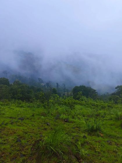 The misty and mysterious beauty of the Netravati trail during the monsoon season. The clouds often cover the entire landscape.