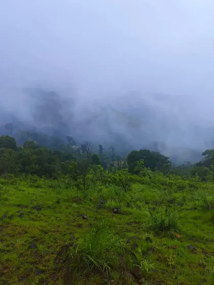 The misty and mysterious beauty of the Netravati trail during the monsoon season. The clouds often cover the entire landscape.