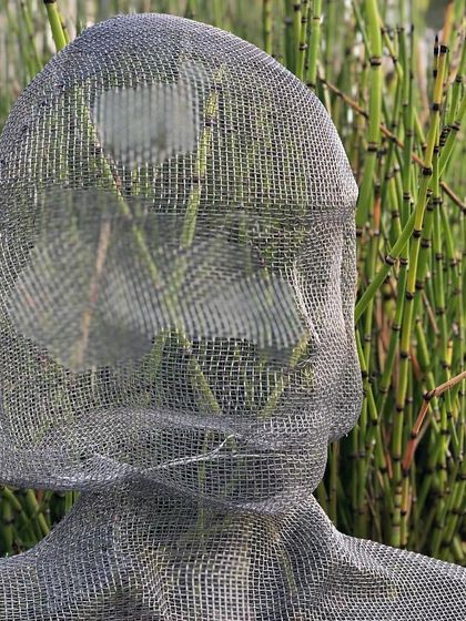 A close-up of a metal mesh sculpture, its translucent form creating an ethereal effect against a backdrop of horsetail plants. This piece adds texture, depth, and meaning, showing that landscapes can be expressive and reflective.