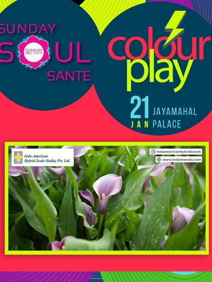 An event poster featuring our Calla Lilies for the Sunday Soul Sante. These elegant flowers are just a sample of the color and beauty we bring to local events.
