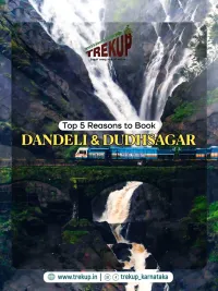 Adventure Travel Packages