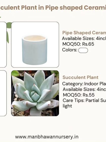 Here is a great combo deal featuring a beautiful succulent plant in a modern, pipe-shaped ceramic pot. This is a perfect, stylish, and affordable gift for any occasion.