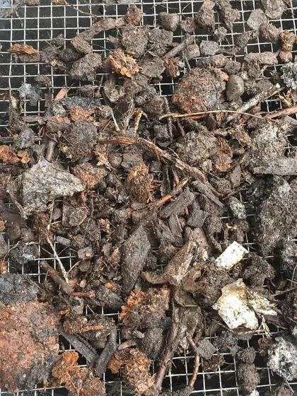 These are the "overs," the larger materials left on top of the screen after sifting. These rocks and undecomposed wood chips are removed to create a finer final product.