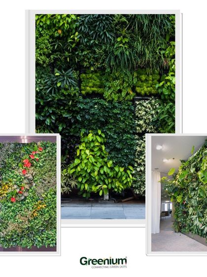 Greenium - Interior Plantscaping & Decor Custom Green Walls photo 26